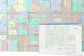 Going Micro Market Local Zip +4 Polygons