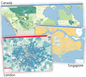 Insights for International Expansion