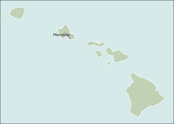 City Map of Hawaii
